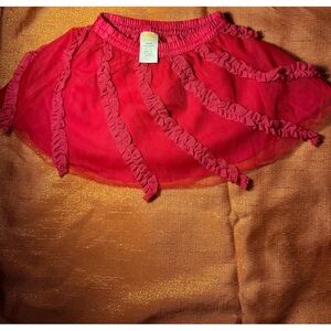 Gymboree Infant Fall Tutu